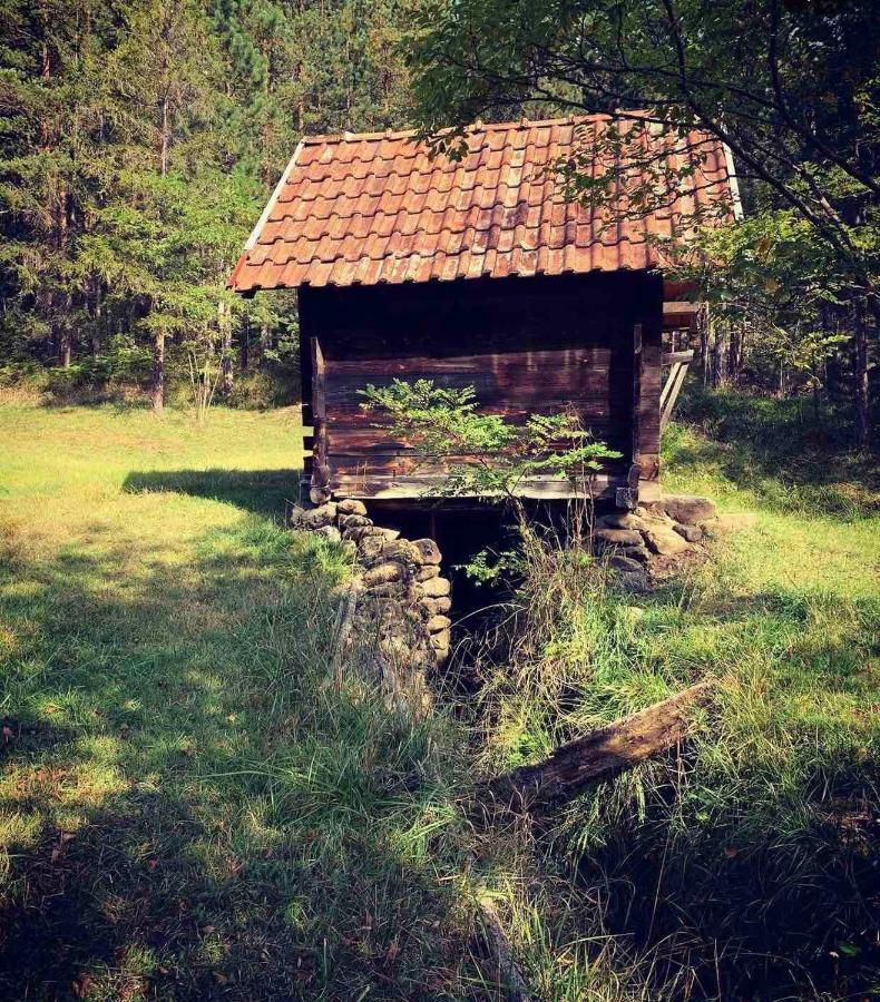 Vila Etno Brvnara Tamara Kremna Exteriér fotografie